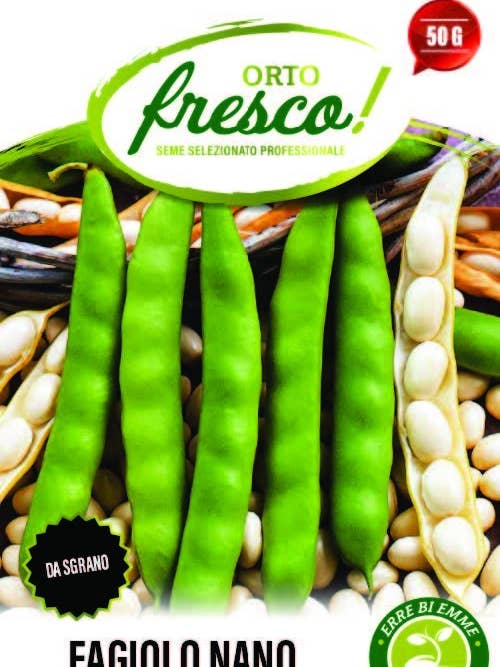 Dwarf Bean Coco Blanc Precoce for wholesale by Sementi & Barbatelle