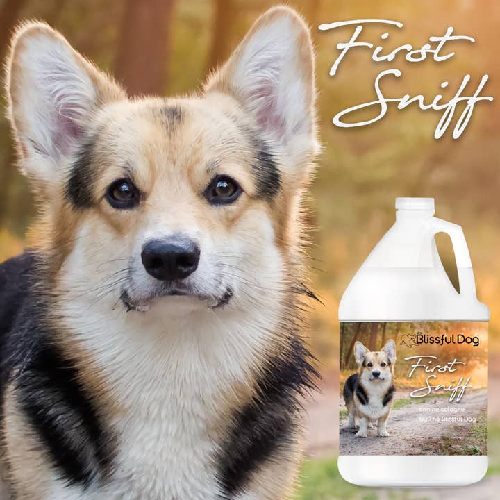 The Blissful Dog – Großhandel Haustier-Deospray – First Sniff Dog Cologne | Bleibt in Ihrer Nase Gallone