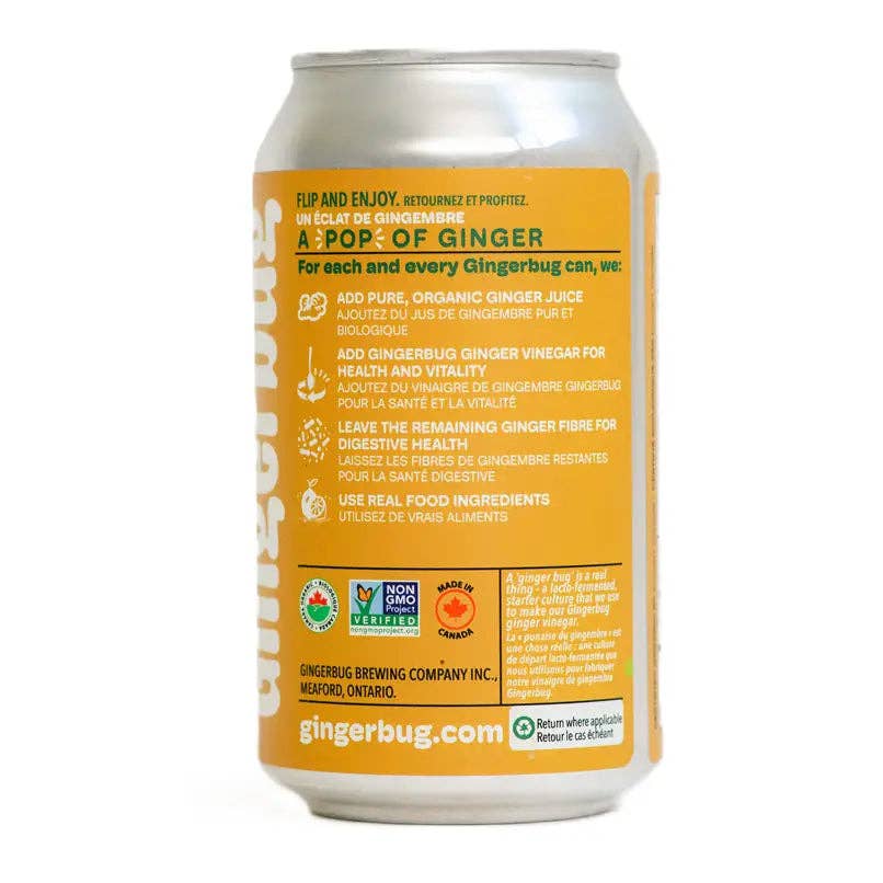 Echo Sales America - Vendita all'ingrosso Bibite/bevande gassate - Gingerbug Ginger Beer Piccante, confezione da 12 bottiglie da 12oz/355ml.2