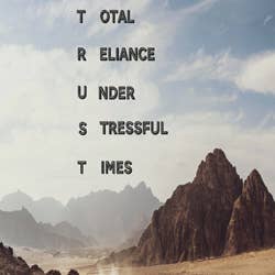 TRUST: Total Reliance Under Stressful Times (Paperback Only) for wholesale by Thoughts & Expressions LLC