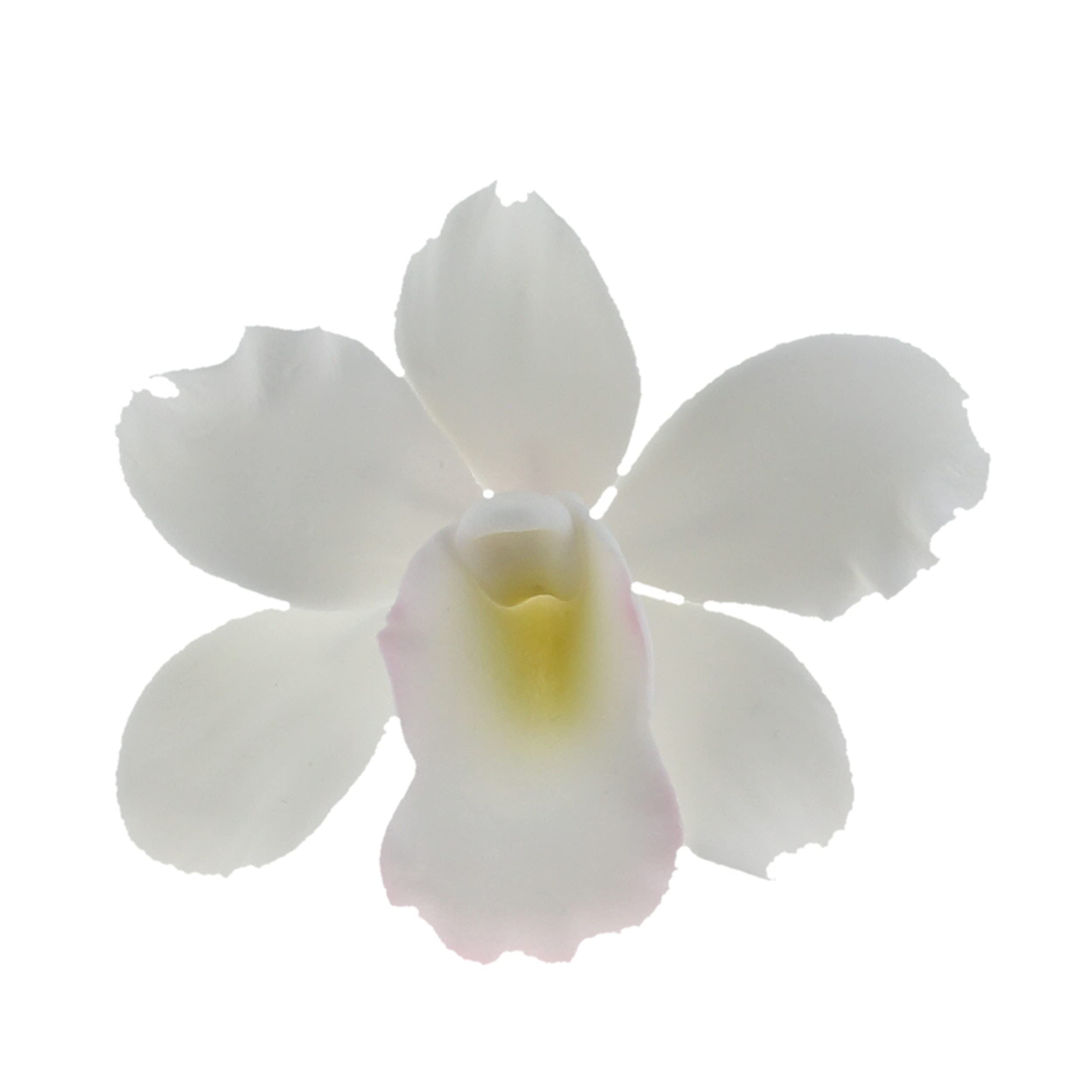 Global Sugar Art – wholesale Cake/cupcake topper – Orchid Sugar Cake Flowers, Pearly Orchids, by Global Sugar Art, Small, White, 6 Count11
