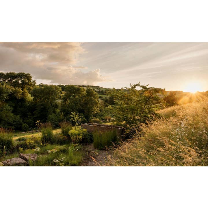 Chronicle Books - Wholesale Home & Garden - Wonderlands5