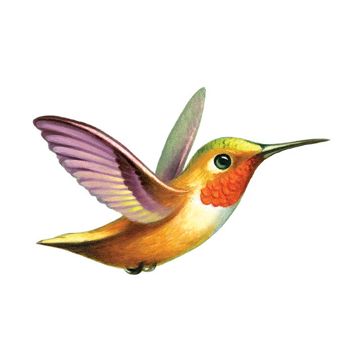 Hummingbird Tattoo Pair for wholesale by Tattly
