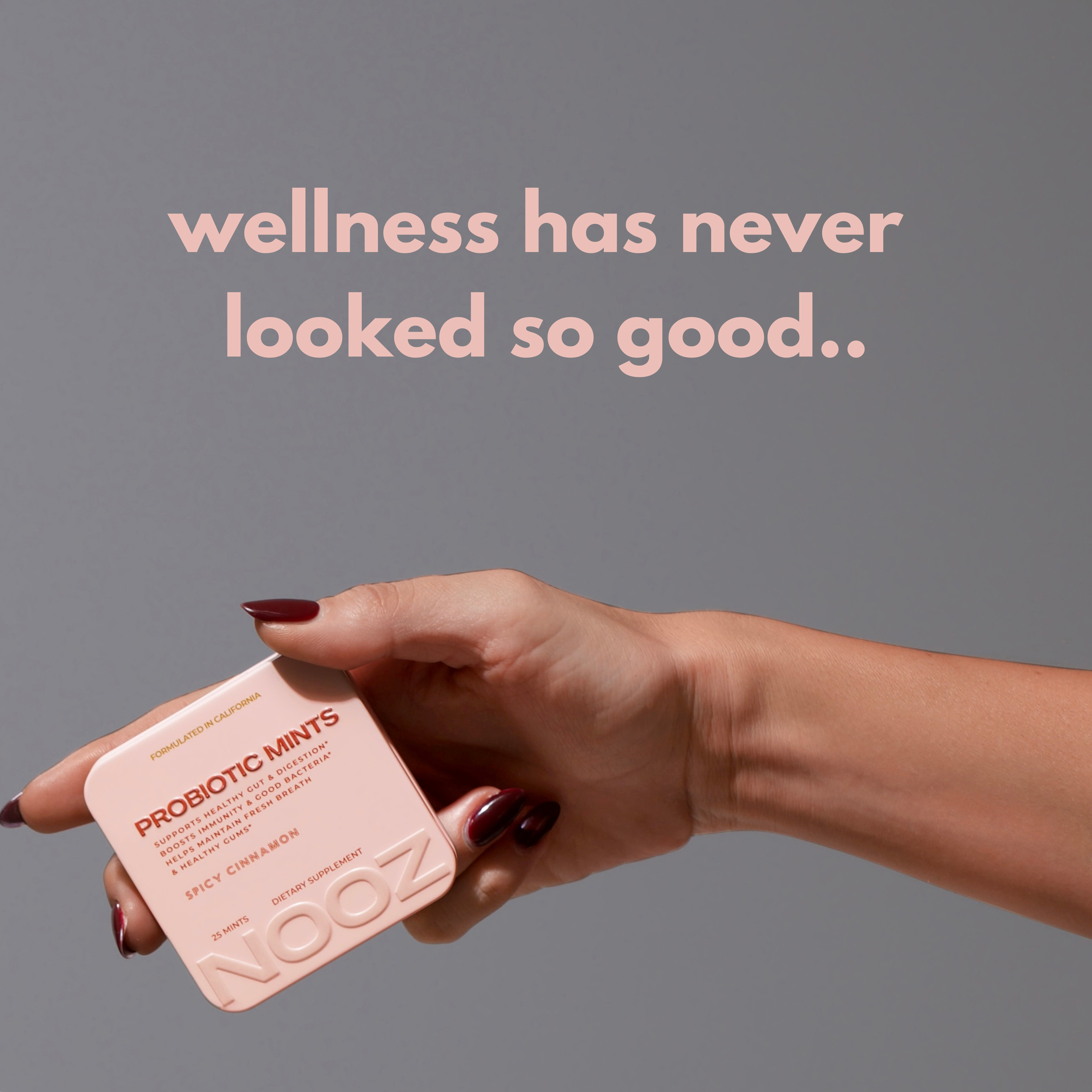 NOOZ – Großhandel Nahrungsergänzungsmittel/Vitamin zum Einnehmen – PROBIOTISCHE MINTS 150 - MINT-NACHFÜLLBEUTEL3