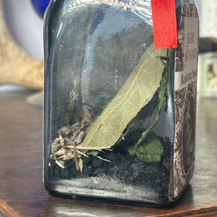 Envision Crystal - Wholesale Spiritual Stone/Crystal - Deadly Nightshade Banishing Spell Jar - Custom Spell Kit1