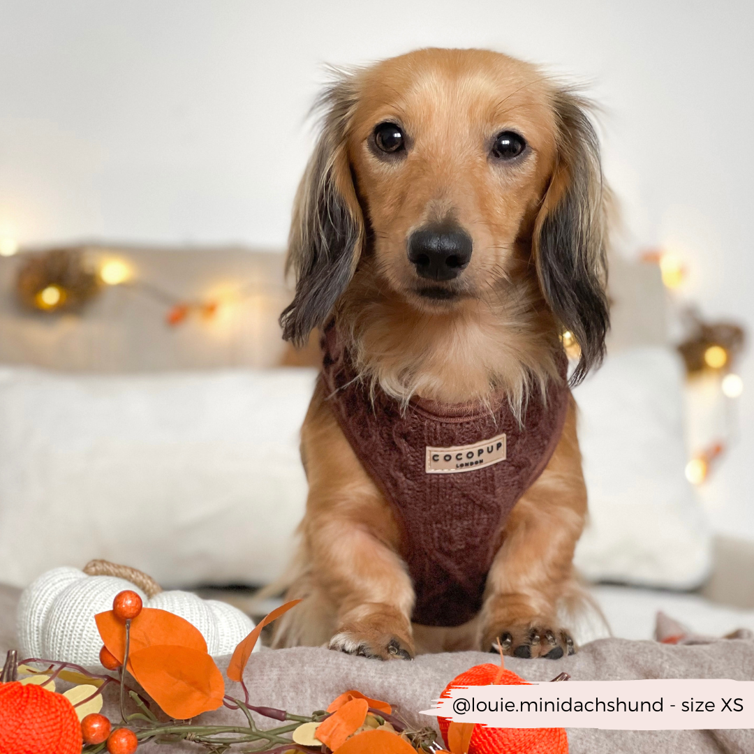 Cocopup London - Vente Harnais – chien - Harnais à col réglable en tricot torsadé couleur chocolat - Hot Coco7