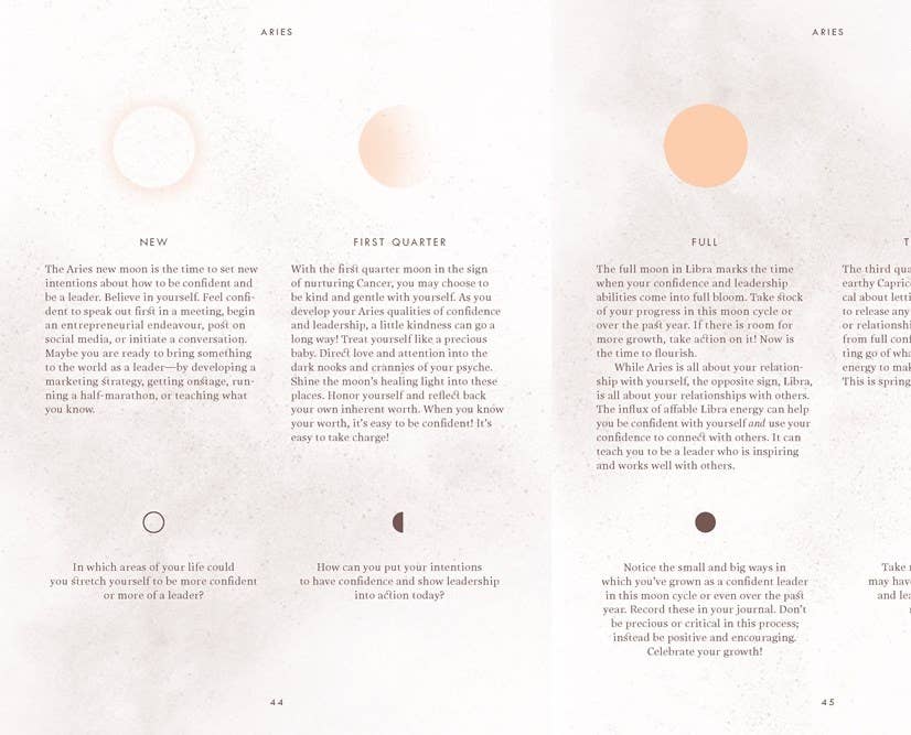 Microcosm Publishing & Distribution - Vente Journal intime - Moon Journal : Un voyage d'autoréflexion2