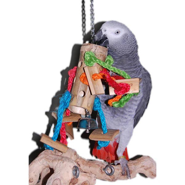 Caitec Inc - Vente Balançoire/jouet pour oiseaux - Petit jouet oiseau en bambou avec araignée – Featherland1