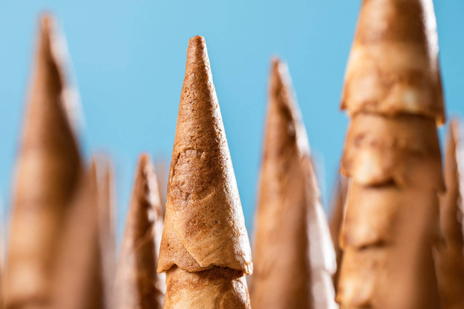 Q d'cônes - Venta al por mayor Galletas - Q d'cônes - Natural - Barquillo2