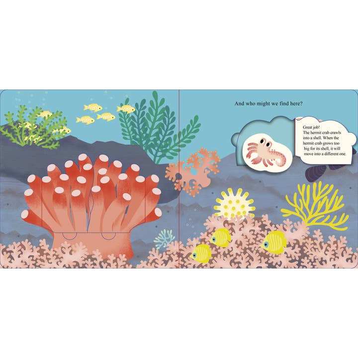 Schiffer Publishing - Wholesale Book - Kids - Who Is Hiding in the Sea?