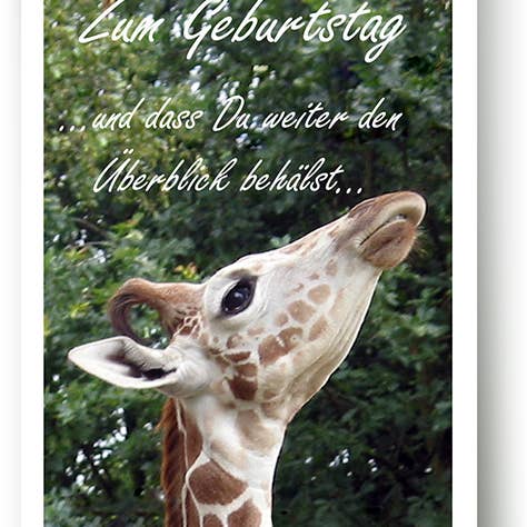 Geburtstag 7 Grußkarte / Humor / Giraffe / 519083 für den Großhandel von Yabué