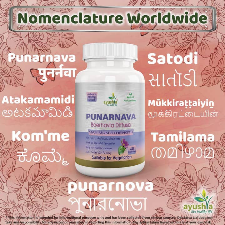 DevSatya Ltd Aushadh, Ayushya, Divyaherb - Wholesale Oral Supplement/Vitamin - Punarnava Capsule3