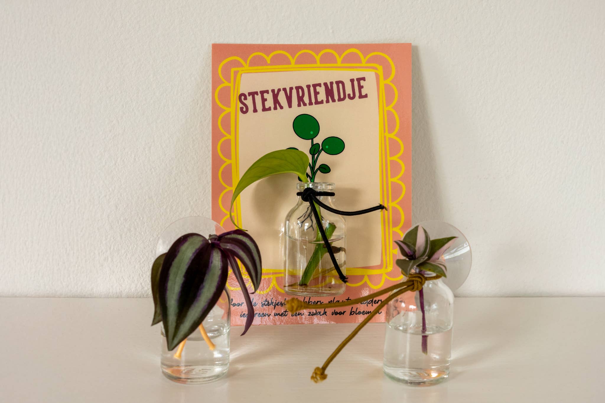 Juffrouw Pannenkoek deco /JP deco - Wholesale Vase - Cutting Friend – mini vase with suction cup