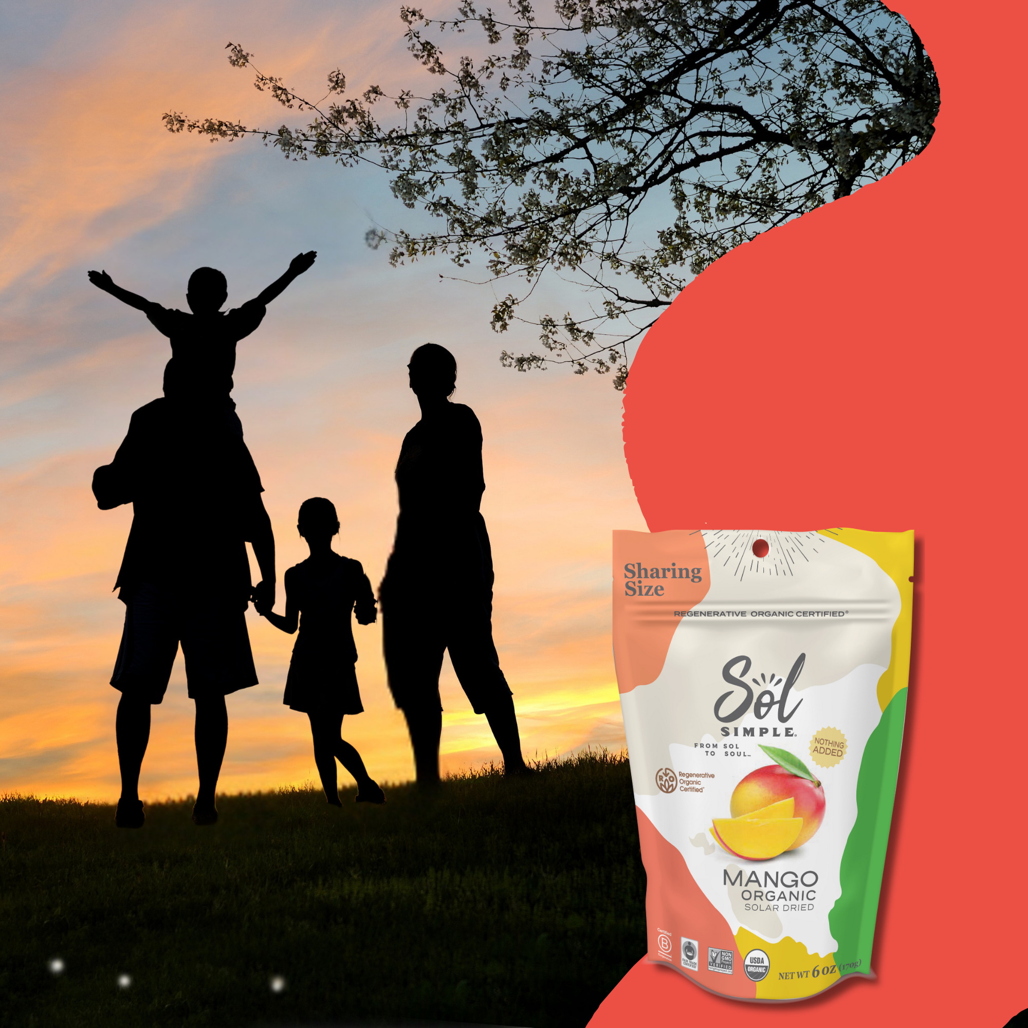 Sol Simple – wholesale Dried/dehydrated fruit – Regenerative Organic Certified Solar Dried Mango - 6oz11