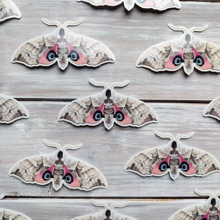 Moth Vinyl Sticker for wholesale by Crabapple Moon
