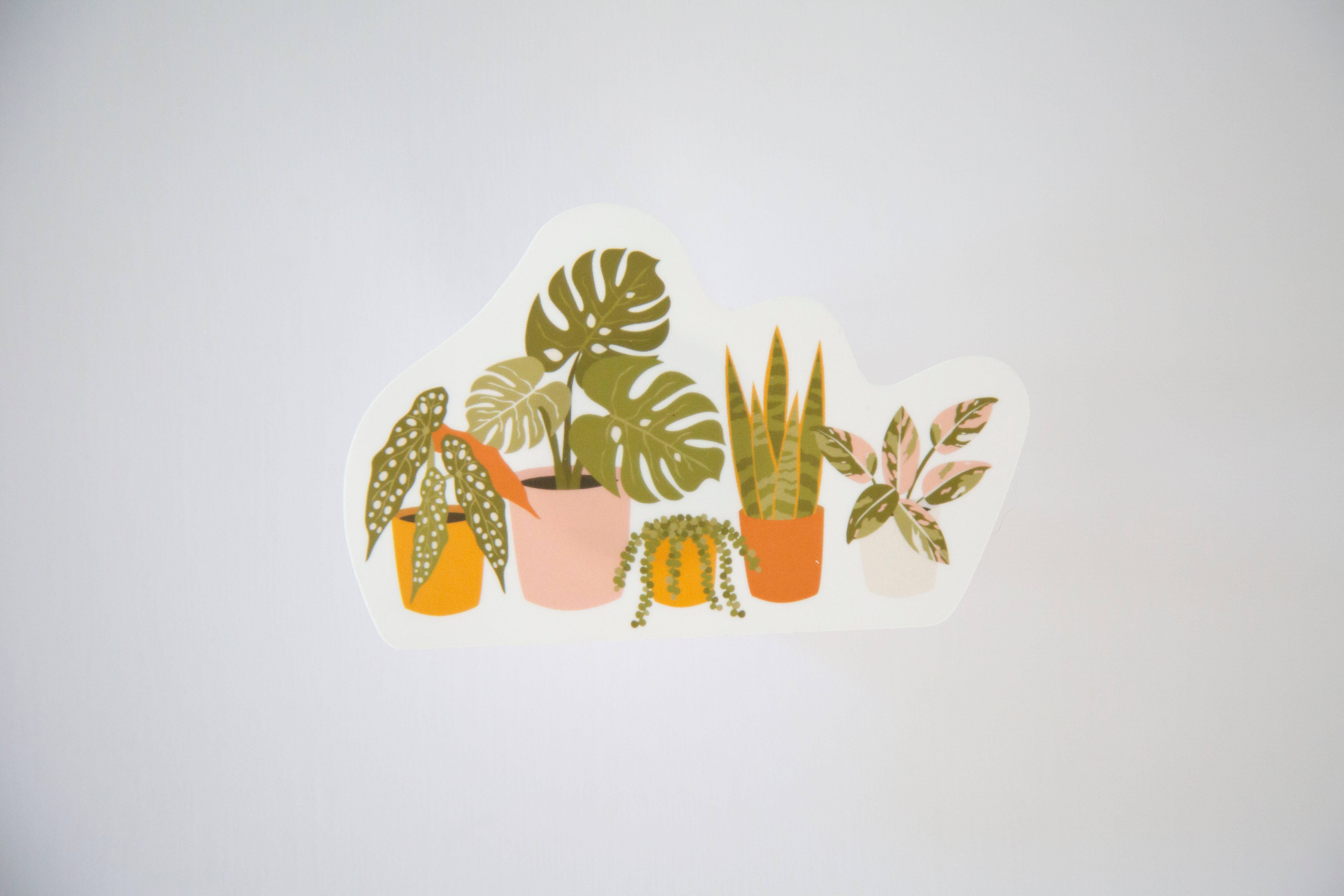 Emily Ervin Design Co. - Wholesale Sticker - Plant Lineup - Laminated Vinyl Phone / Laptop Sticker1