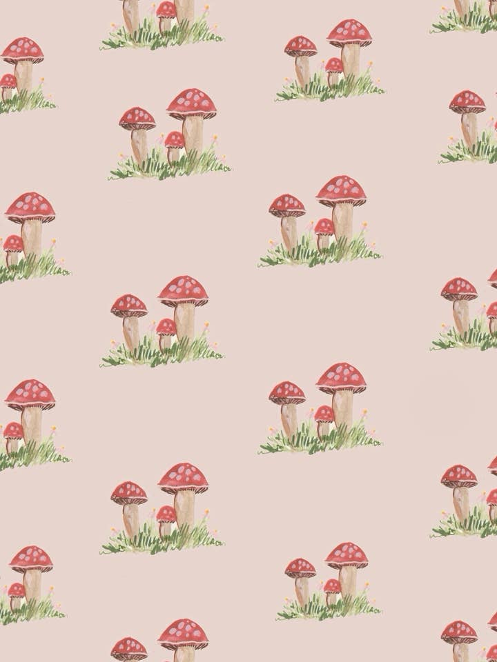 Setas en Rosa para venta al por mayor de mums