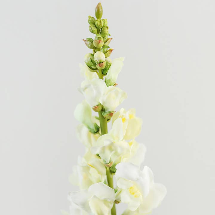 Prestige Botanicals - Wholesale Artificial Flowers - Real Touch Yellow Snapdragon 23”2