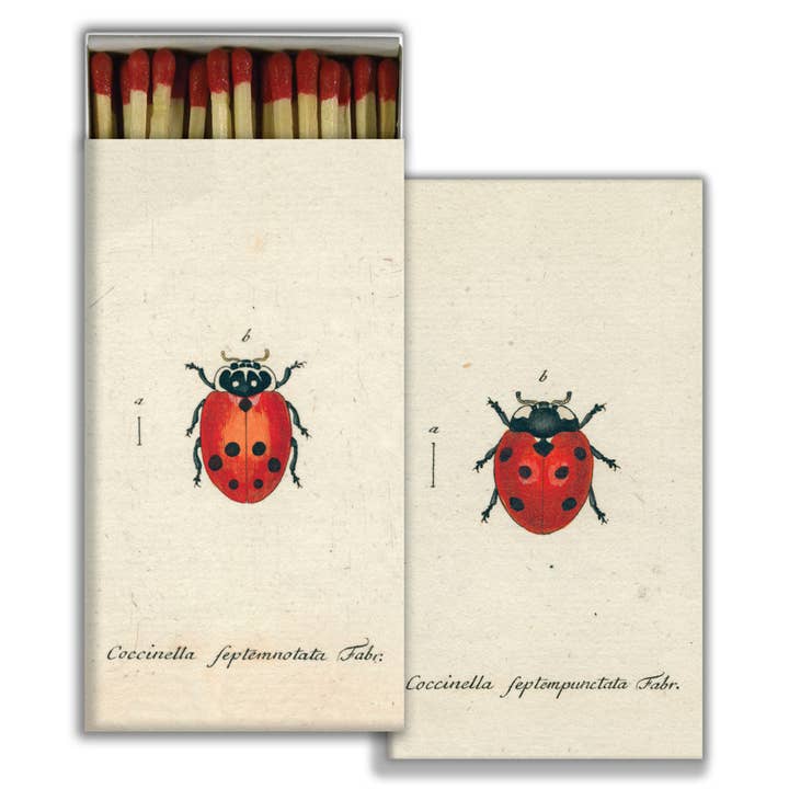 Matches - Little Lady Bug & Red Lady Bug - Red for wholesale by HomArt
