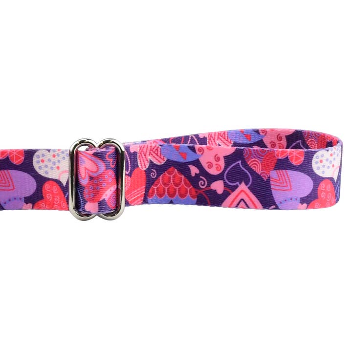 2 Hounds Design - Wholesale Pet Leash - Dog - EarthStyle Wild Hearts Dog Leash1