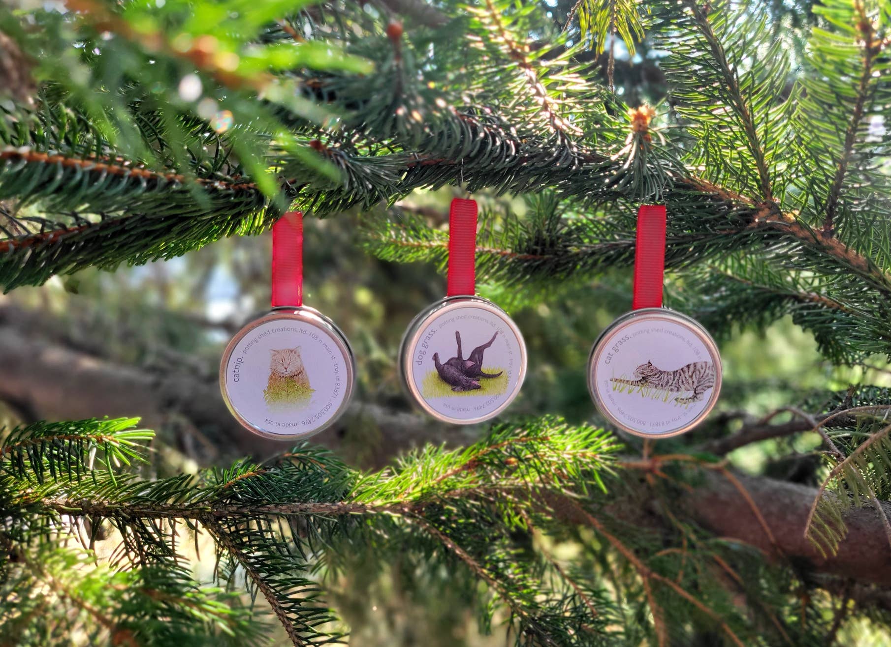 Potting Shed Creations, Ltd. - Wholesale Pet Toy - Cat/Dog - Pet Ornament Sprinkle Pail | Dog & Cat Christmas6