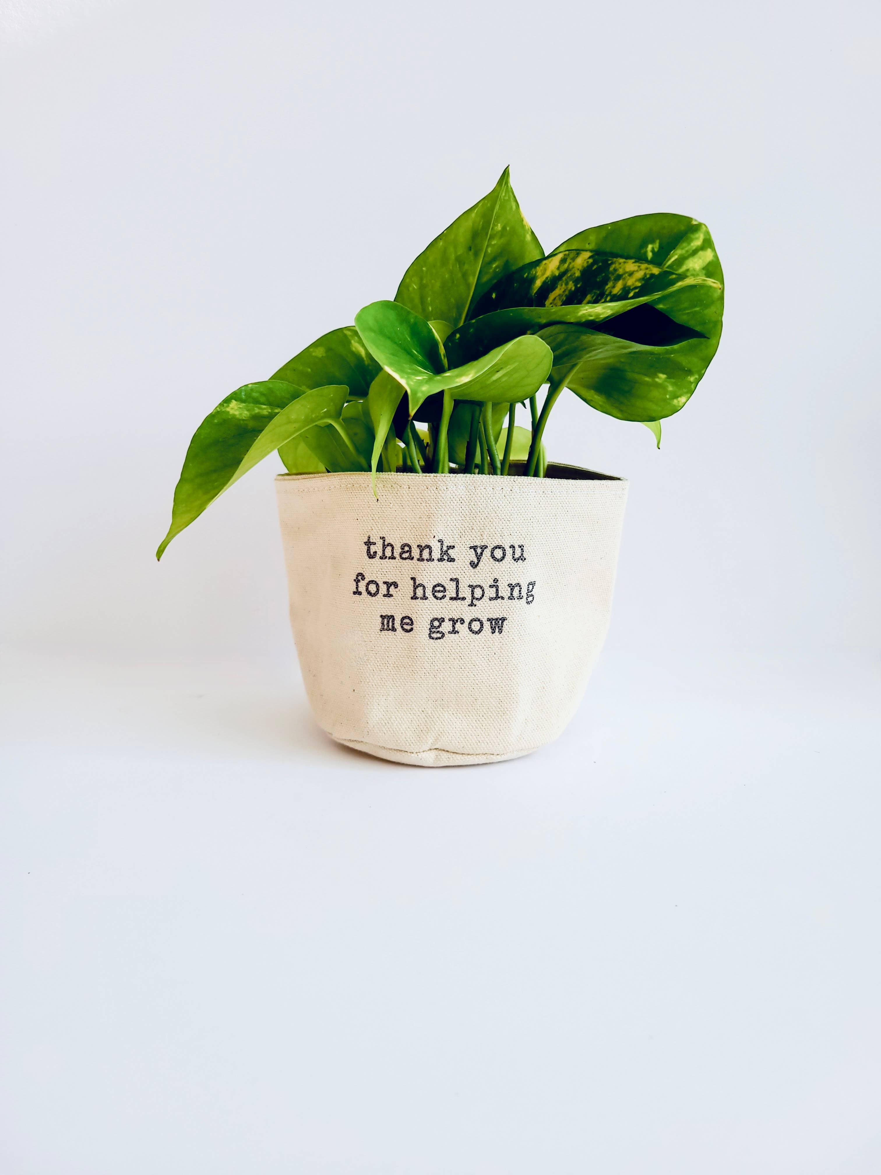 Leaf and Root Co. - Wholesale Plantenpot - Thank you for helping me grow - canvas potcover voor planten