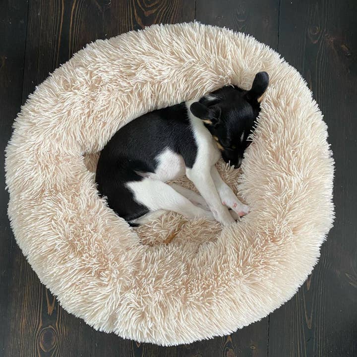 Int. Pets - Wholesale Pet bed – Dog - THE ORIGINAL - Donut Dog Bed (beige)4