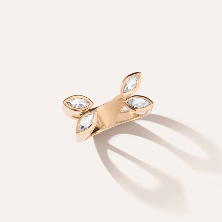 Hovedkarakterring for engroshandel hos LÚDERE