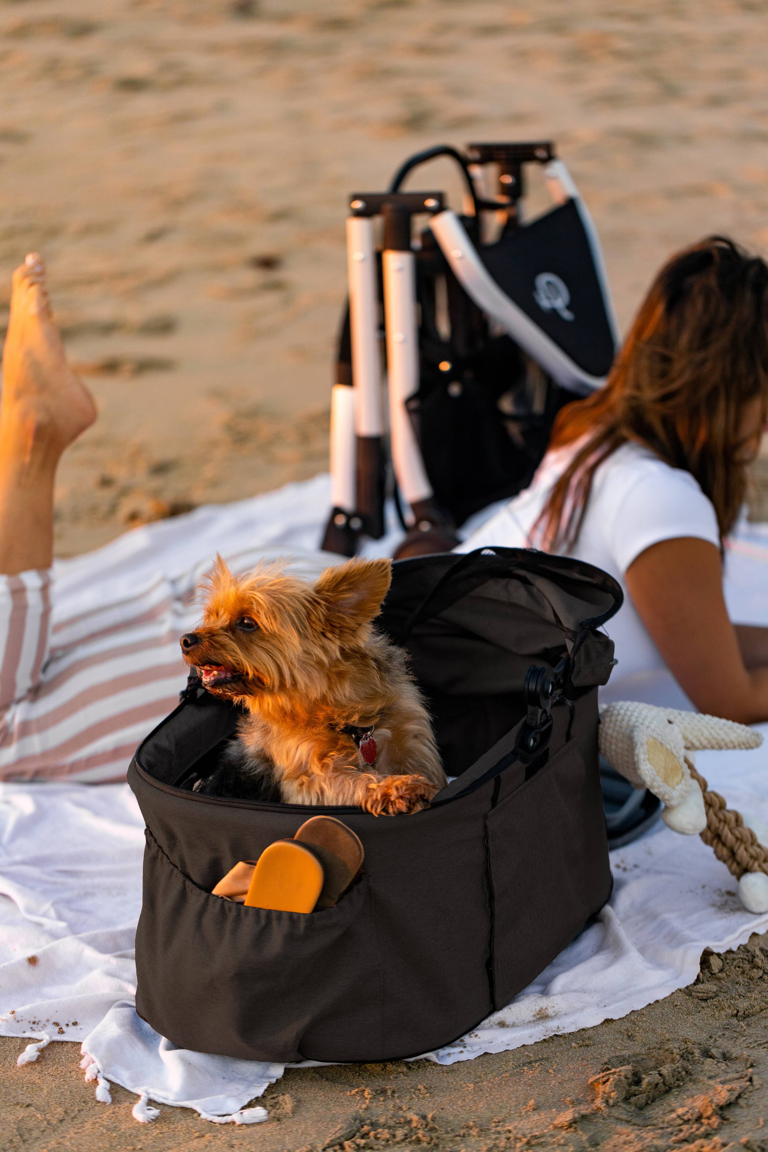 Petique - Wholesale Pet Carrier - Cat/Dog - Newport Pet Stroller (3-in-1 Travel System)15