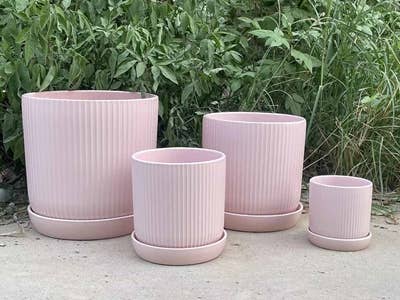 Pacific Home & Garden - Wholesale Plant Pot - Fluted Cylinder Planter, Pastel Baby Pink, 5.0"X5.5"2