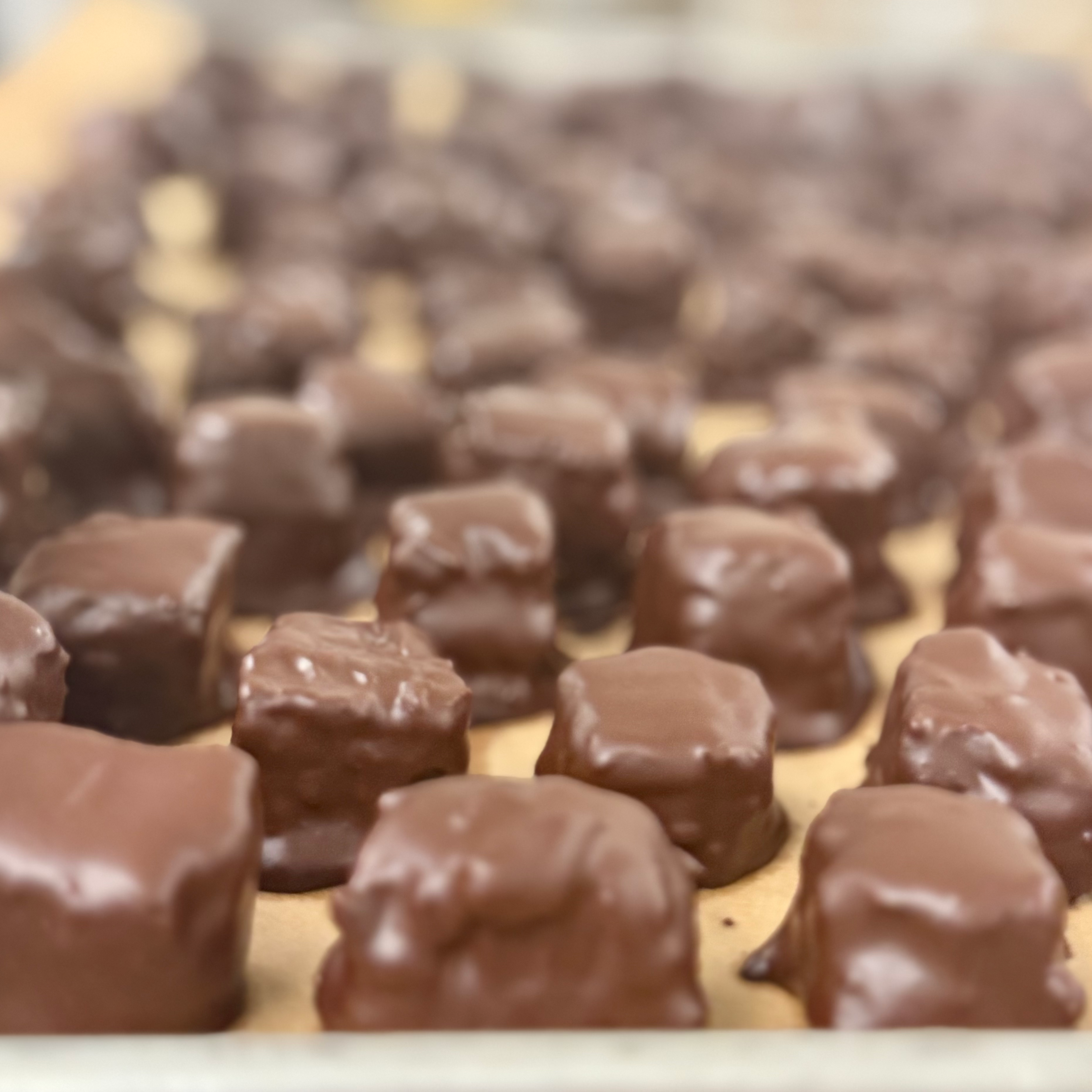 Honeymoon Chocolates - Wholesale Chocolate Covered Sweets - Chocolate Covered Raw Honeycomb3