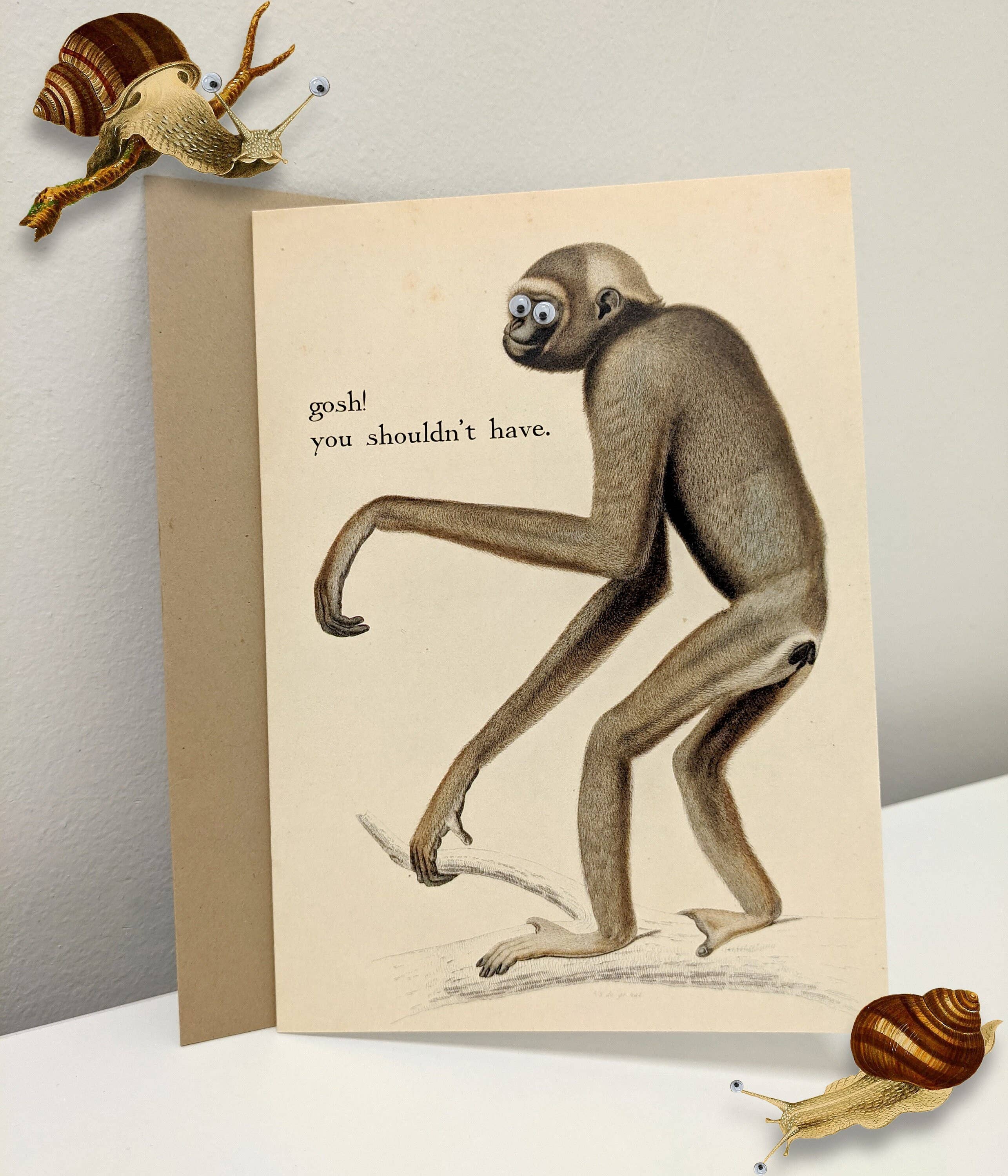 Shut Up Telescope – wholesale Thank you card – Gosh! You Shouldn't Have! Greeting Card with Googly Eyes0