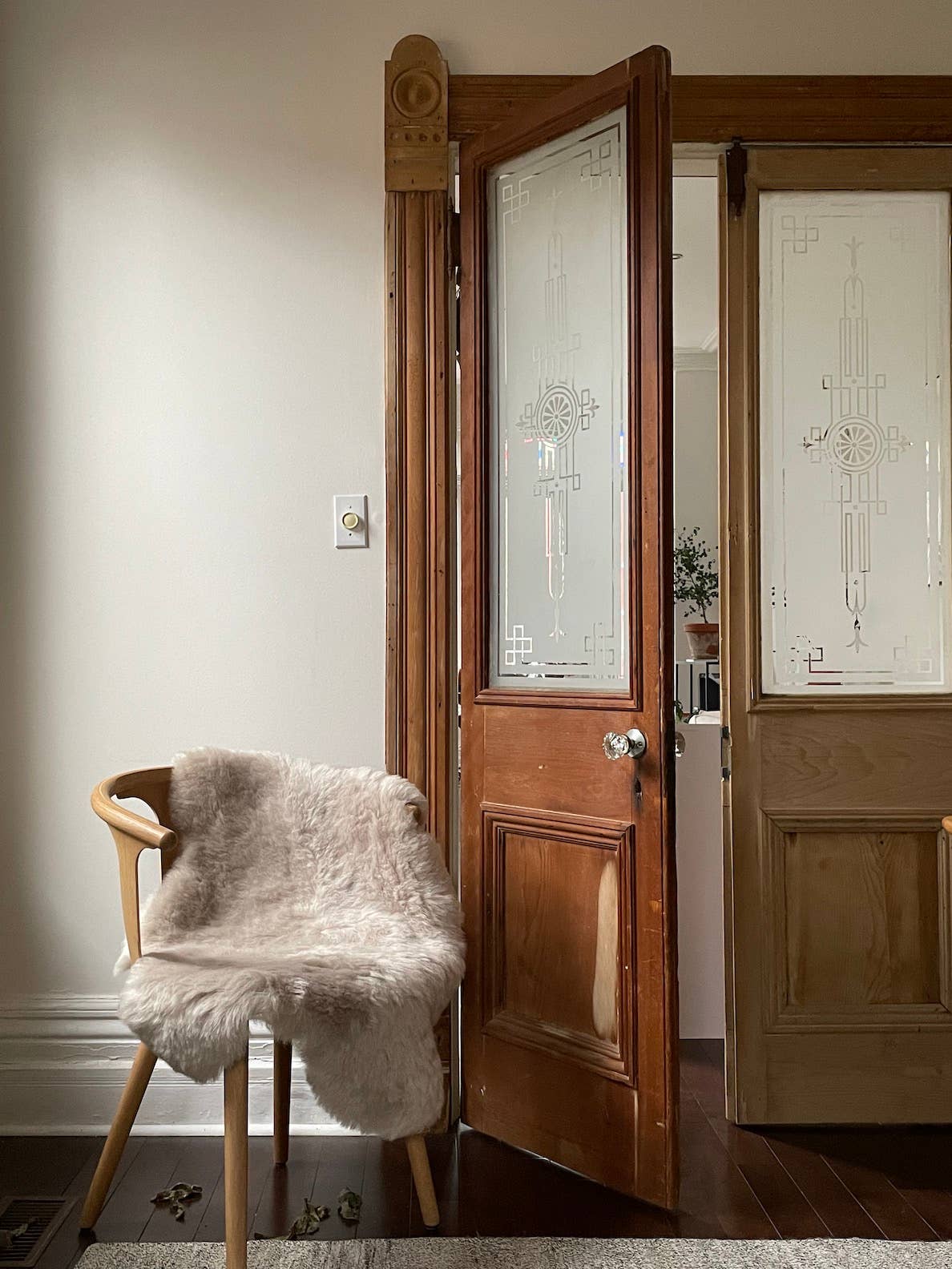 Black Sheep (White Light) - Wholesale Area Rug - Shorn Nude Icelandic Sheepskin Throw Rug1