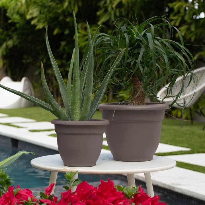 Bloem - Wholesale Plant Pot - Ariana Self-Watering Plastic Planter - Small to Medium Sizes3