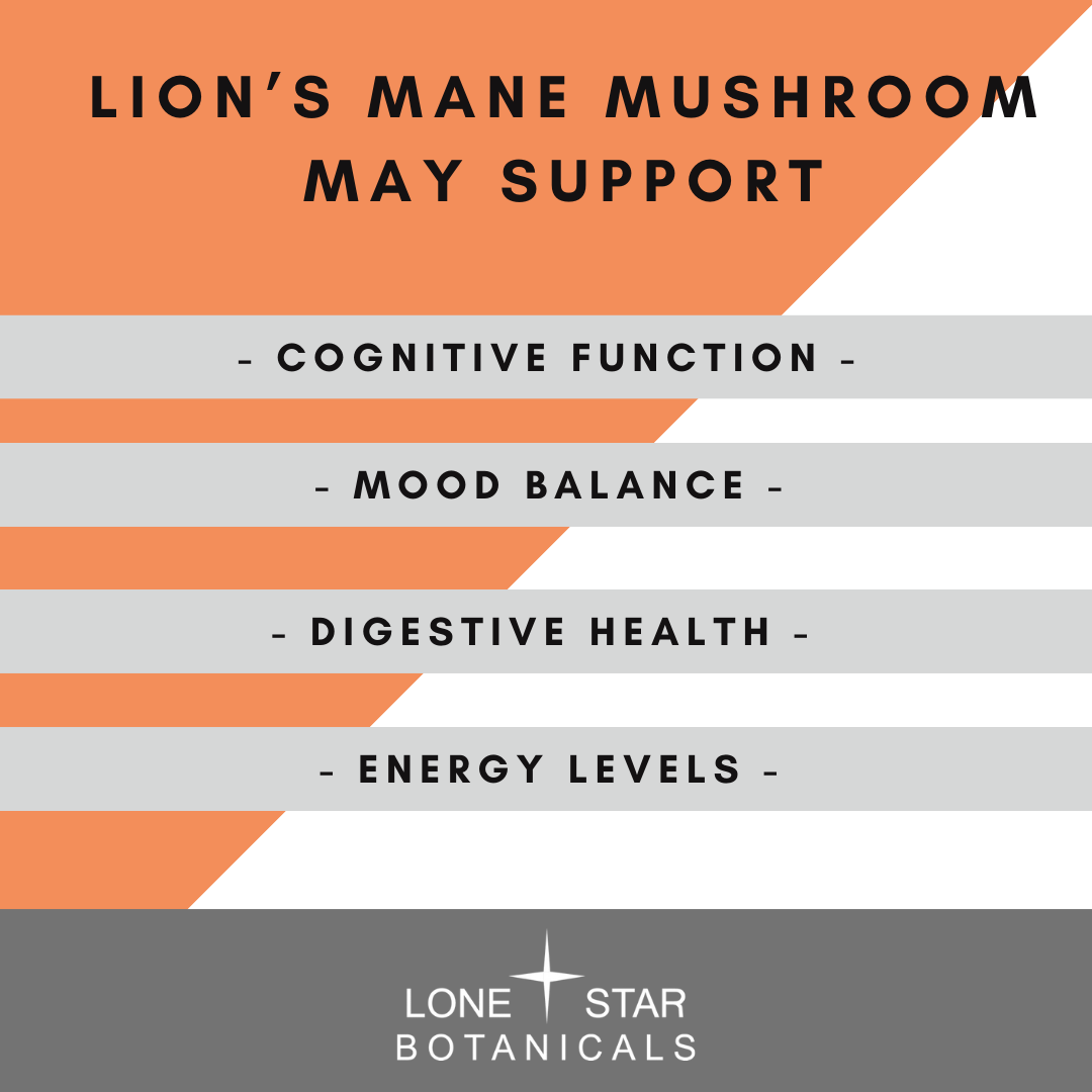 Lone Star Botanicals – Engroshandel Protein-/superfoodpulver – Økologisk Løvemanke Svampeekstrakt Pulver -- 100 g3