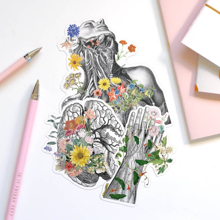 Arty anatomische stickers voor wholesale door PRRINT!