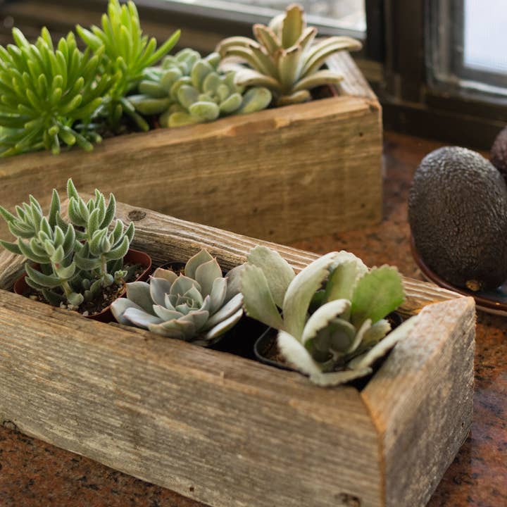 Love Reclaimed – wholesale Planter box – Reclaimed Wood Succulent Planter - Small Trough