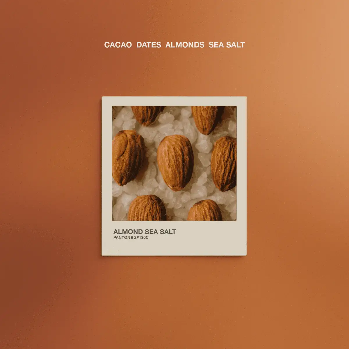 The Conscious Bar - Vente Barre chocolatée - Chocolat noir sucré aux dattes - Amandes et sel de mer5