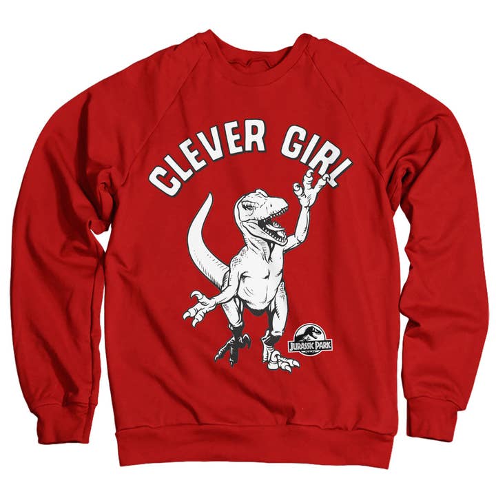 Clever Girl Sweatshirt for wholesale by Hybris Production AB