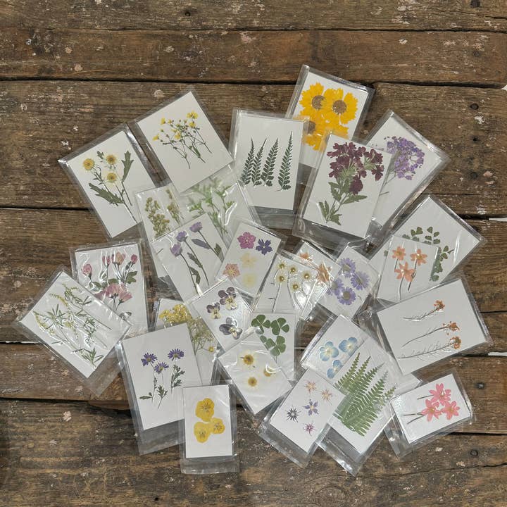Sugarboo & Co - Wholesale Art Print - Pressed Botanical Collection - Assorted Set of 60