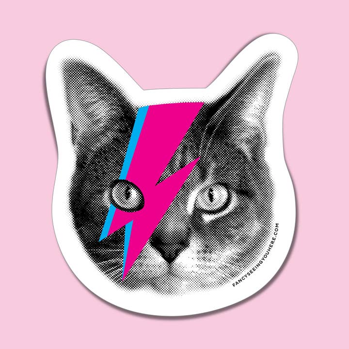 Bowie Cat Magnet for wholesale by Fancy Seeing You Here