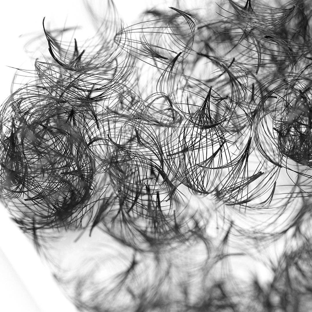 GladGirl - Wholesale False/Fake Eyelashes - Off the Tray 12D Heat Bonded PreMade Lash Fans - Mixed Length6