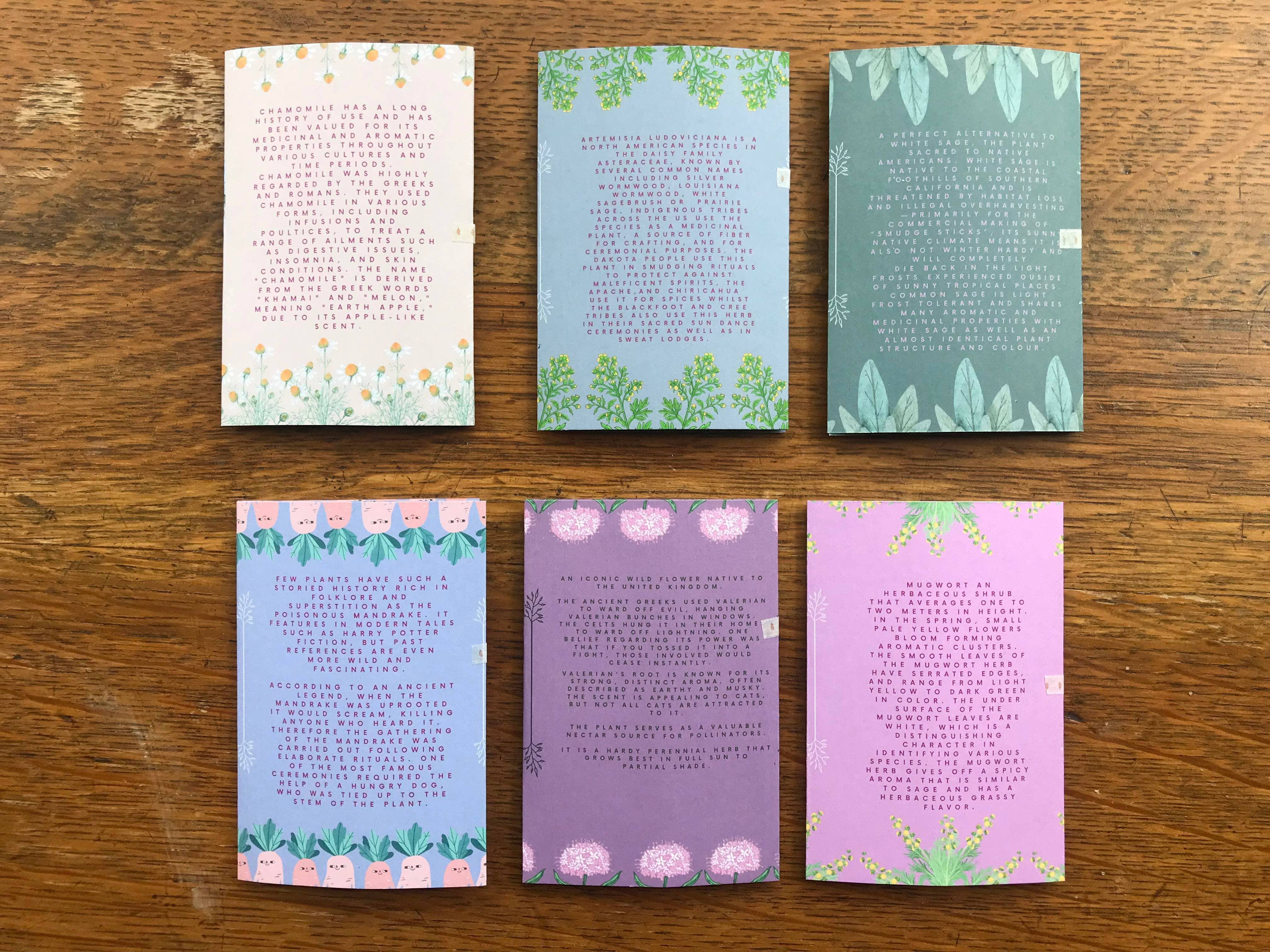 lotusleafaltars - Vente Graines de plantes - Set de graines de plantes magiques, avec des guides de culture colorés !7