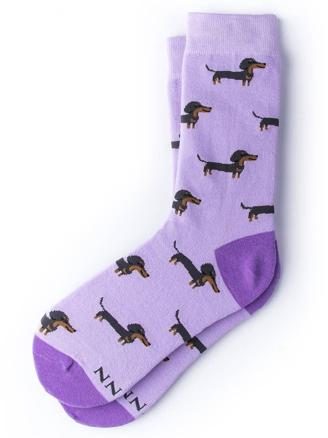 Weiner Dog Dachshund Damstrumpa från Alyn CLOSEOUT COLORS för wholesale av Alynn
