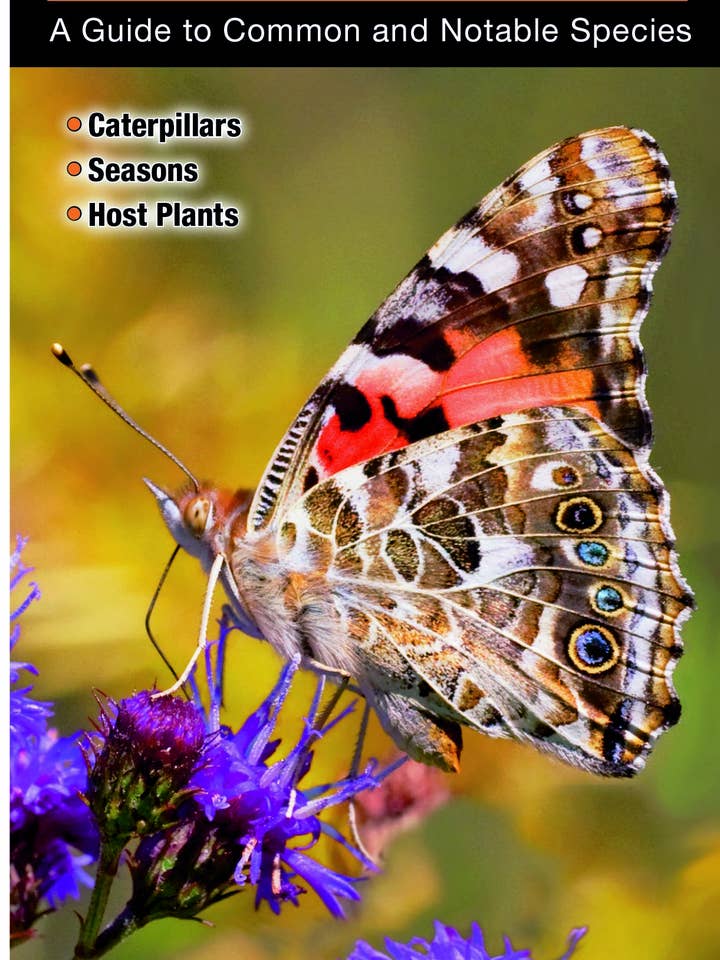Butterflies of the Mid-Atlantic for wholesale by Quick Reference Publishing, Inc