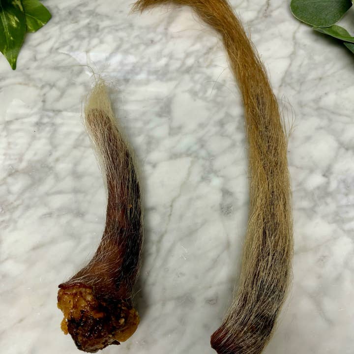 Dehydrated Pork Tail (Hairy) for wholesale by Rocky&Stella’s Treats