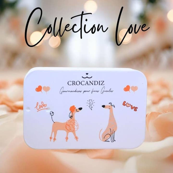 Galletas para perro, golosinas para perro, regalo para perro para venta al por mayor de Crocandiz