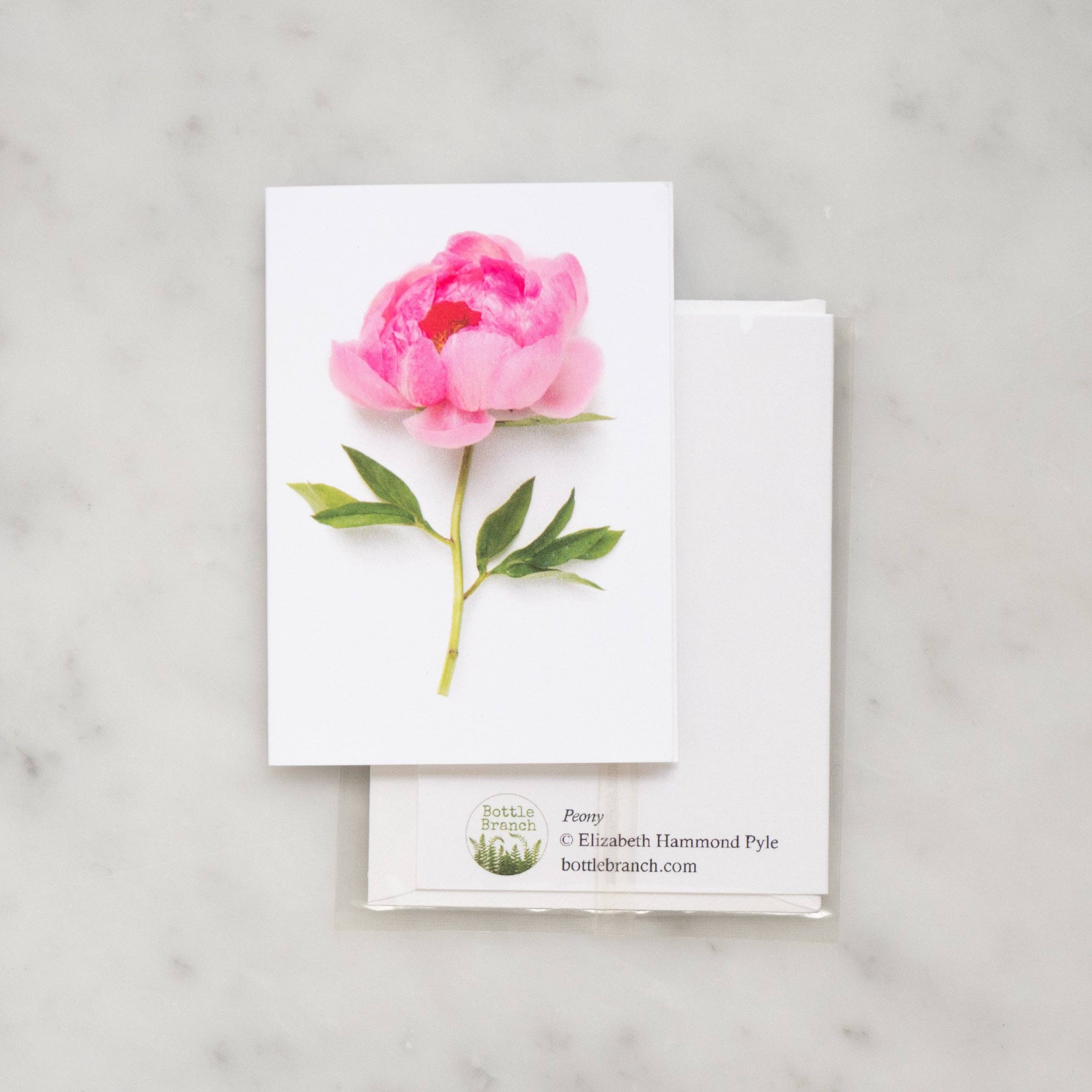 Bottle Branch - Wholesale Everyday Greeting Card - Enclosure card - Pink Peony1