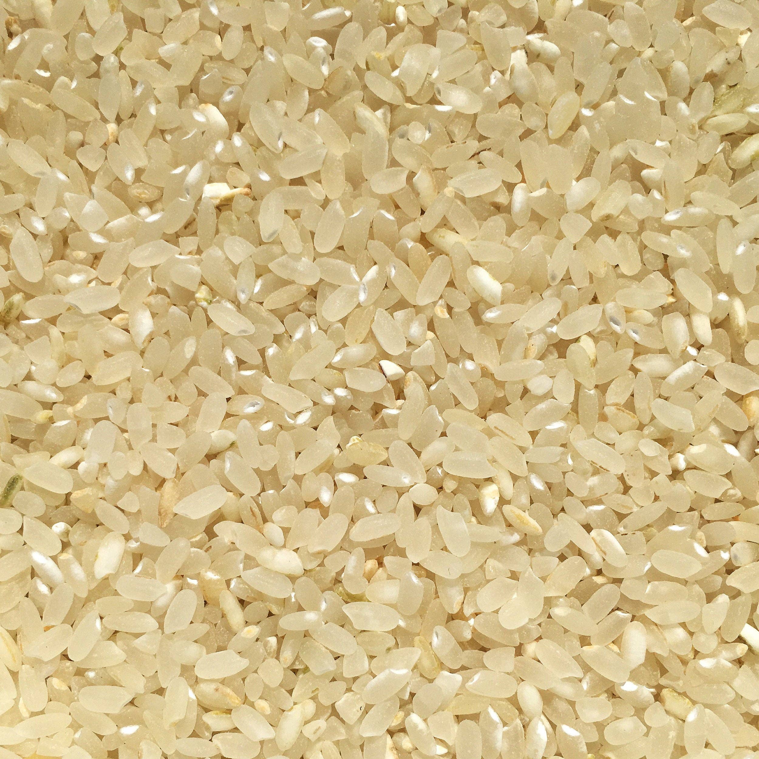 Chico Rice - Wholesale Rice - Blonde Milled California Japonica Rice4