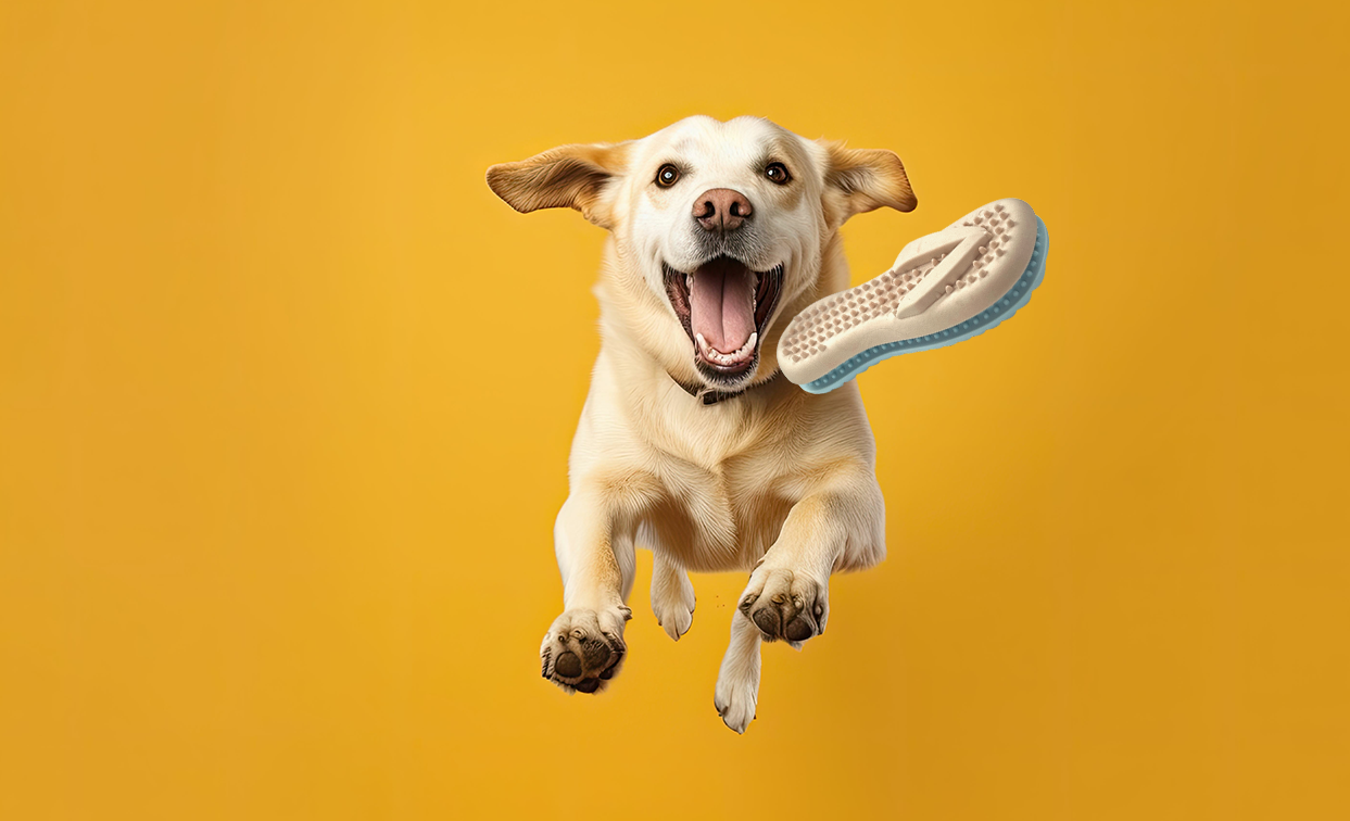 Spunky Pup – Squeaky Toy - Cão por atacado – Brinquedos de espuma Gnaw Guard com apito para cachorro12